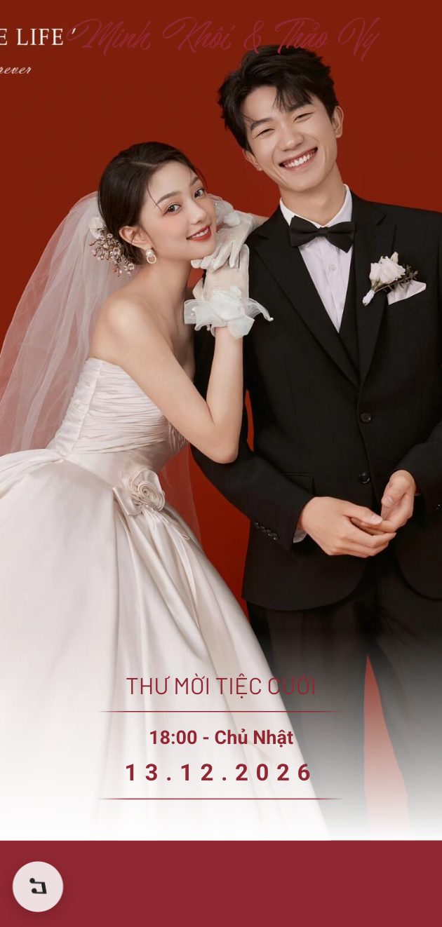 Mẫu Đỏ Cơ Bản